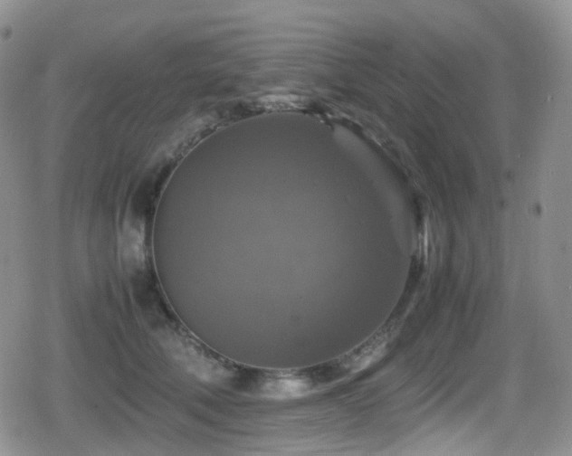 X0000080750610200612151316