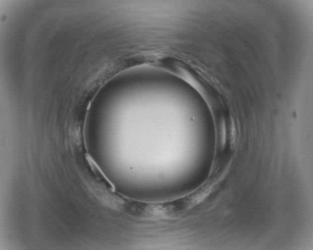 X0000080750613200612151316