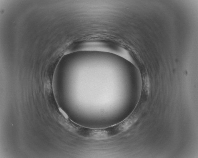 X0000080750617200612151316