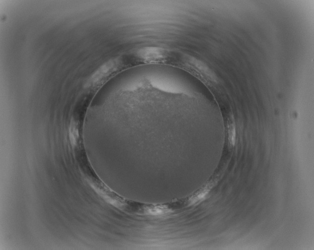 X0000080750618200612151316