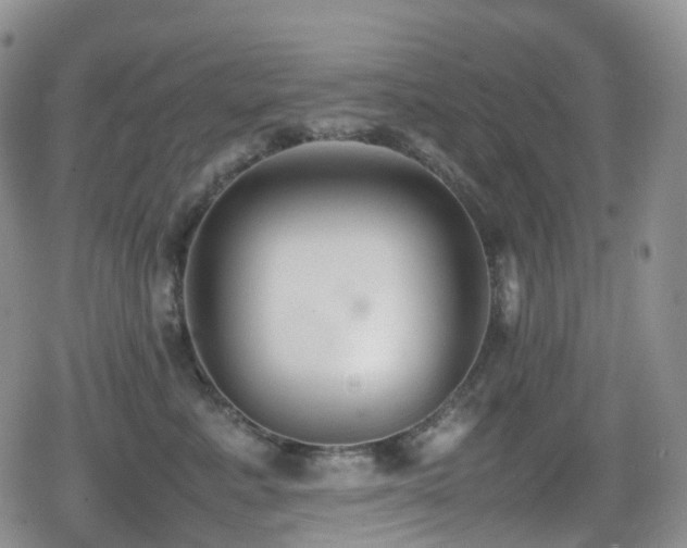 X0000080750619200612151316