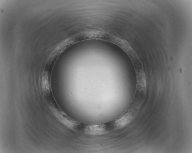 X0000080750622200612151316