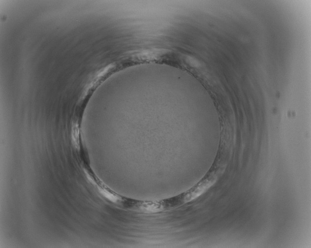 X0000080750624200612151316