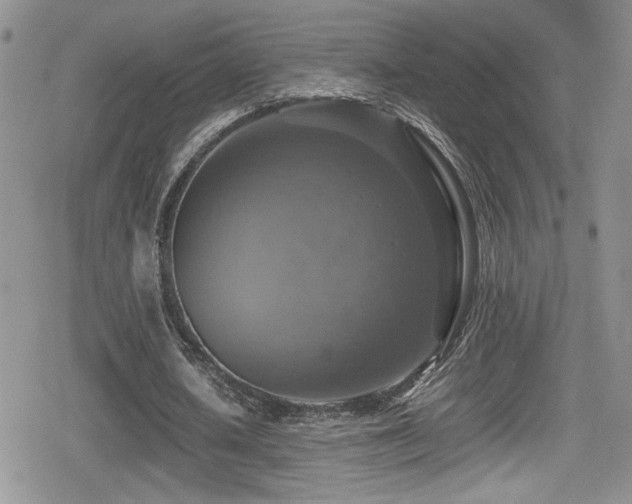 X0000080750626200612151315