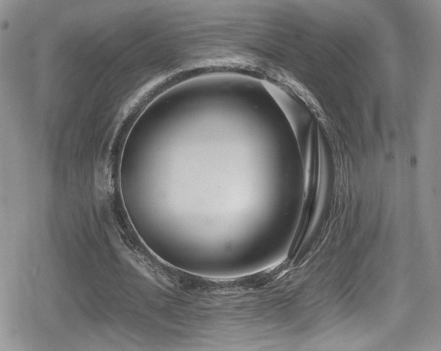 X0000080750628200612151315