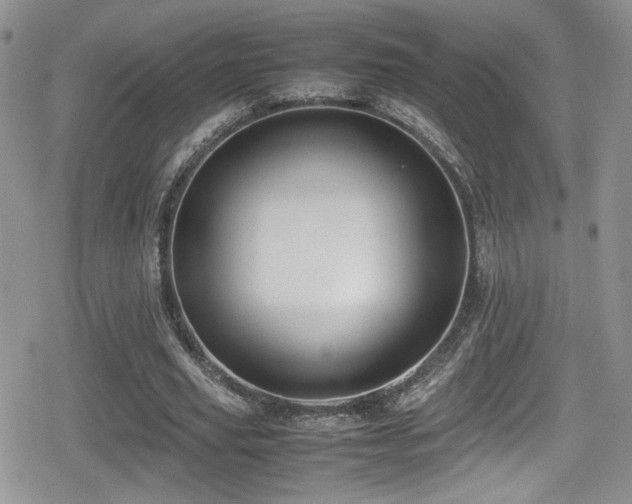 X0000080750629200612151315