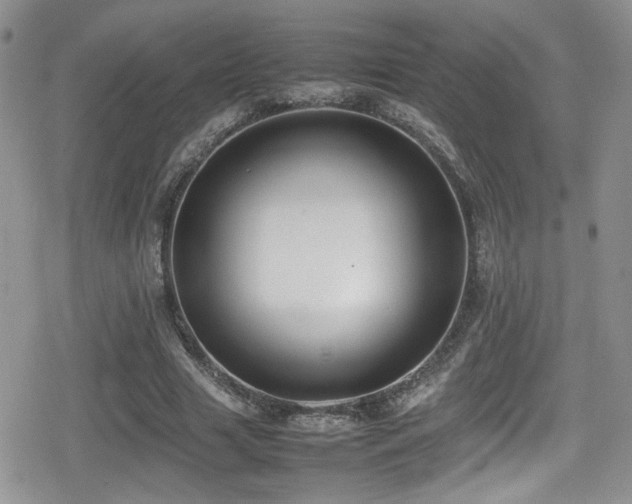 X0000080750633200612151315