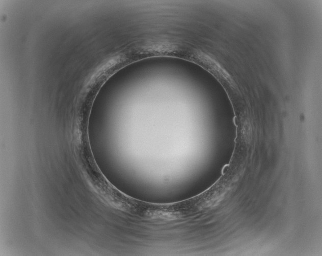 X0000080750635200612151315