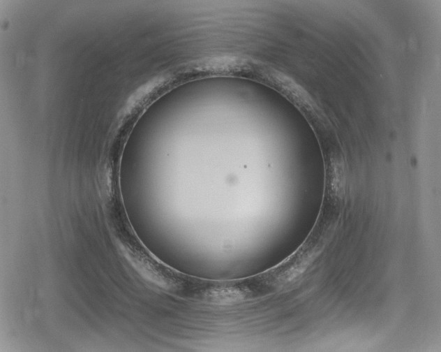 X0000080750636200612151315