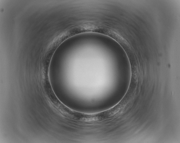 X0000080750639200612151315