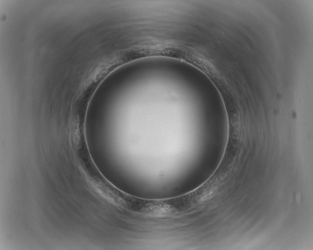 X0000080750642200612151315