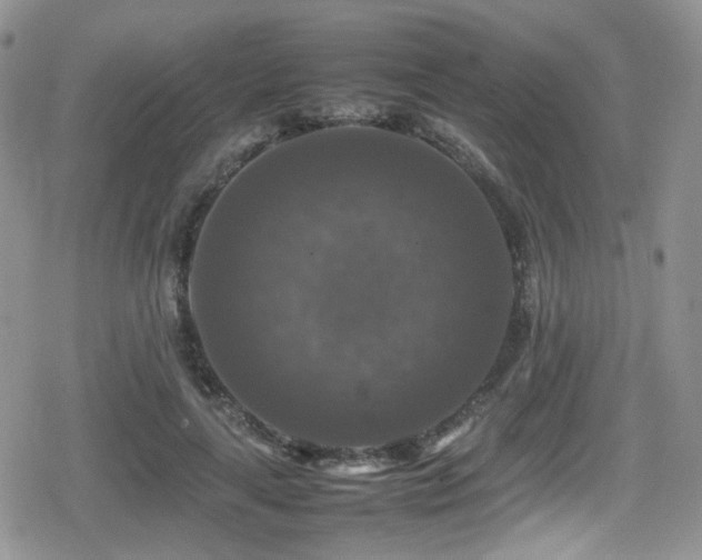 X0000080750643200612151315