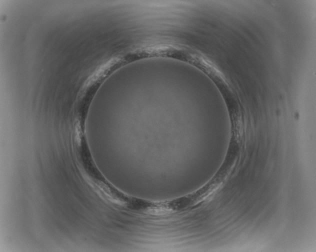 X0000080750644200612151315