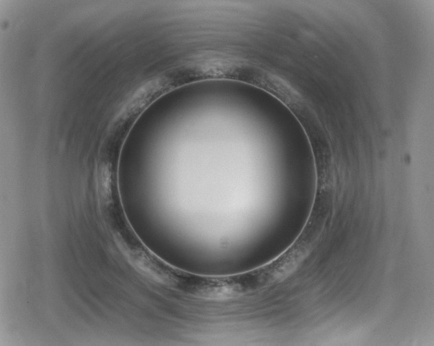X0000080750646200612151315