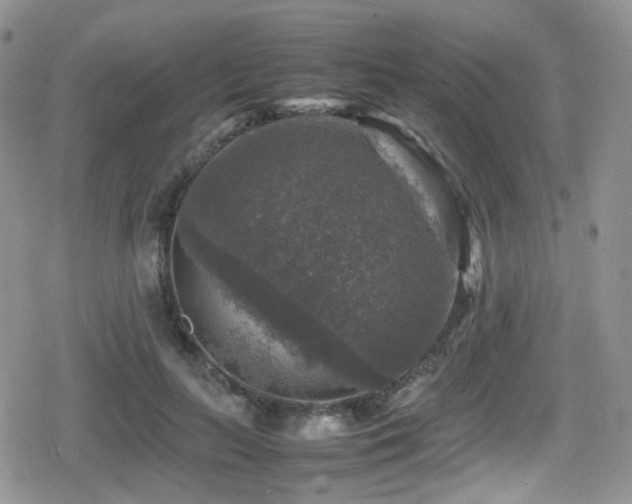X0000080750647200612151315