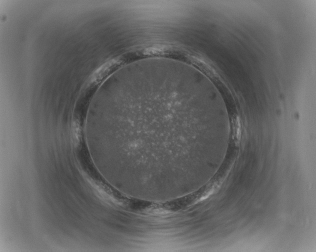 X0000080750648200612151315