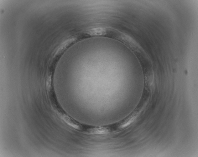 X0000080750652200612151316