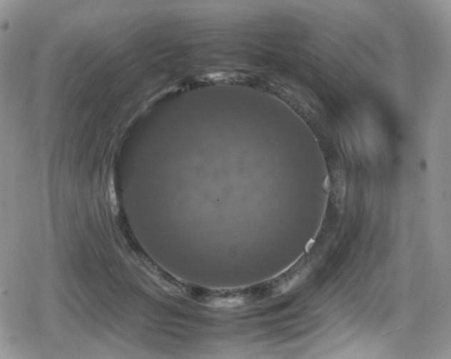 X0000080750653200612151316
