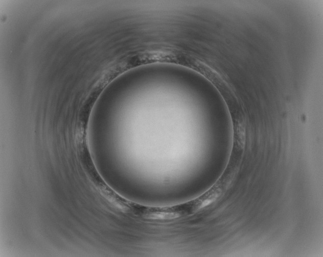 X0000080750657200612151316