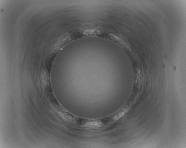 X0000080750659200612151316