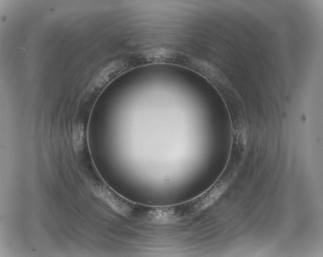 X0000080750660200612151316