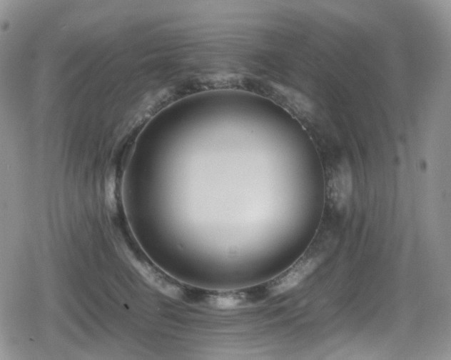 X0000080750662200612151316