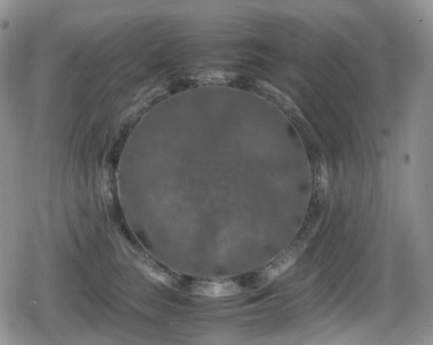X0000080750663200612151316