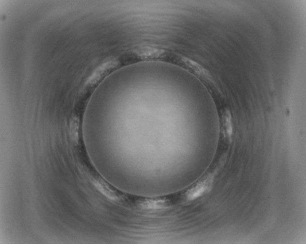 X0000080750664200612151316