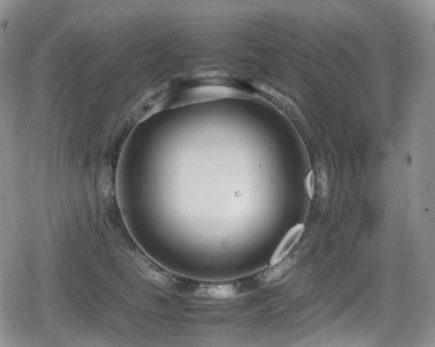 X0000080750665200612151316