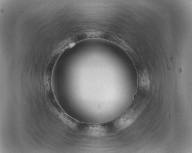 X0000080750666200612151316