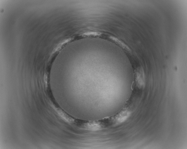 X0000080750668200612151316