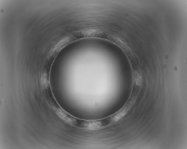 X0000080750670200612151316