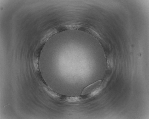 X0000080750671200612151316