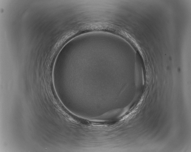 X0000080750673200612151315