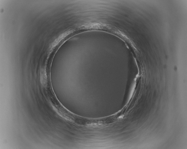 X0000080750674200612151315