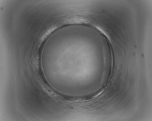 X0000080750675200612151315