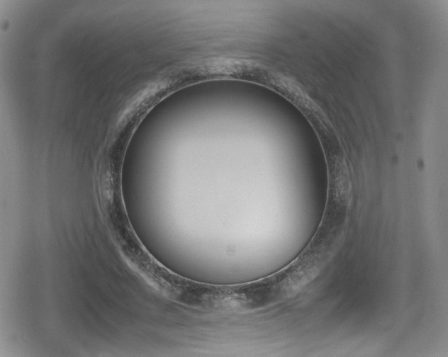 X0000080750683200612151315