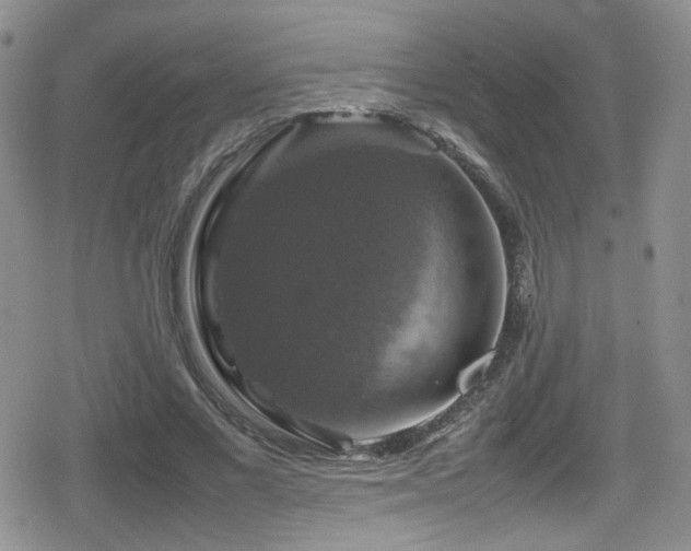 X0000080750685200612151315