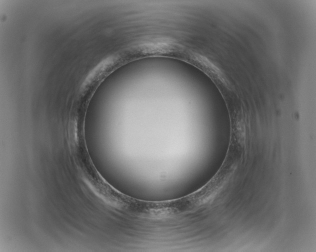X0000080750686200612151315