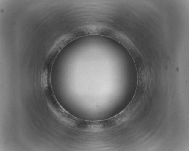 X0000080750694200612151315