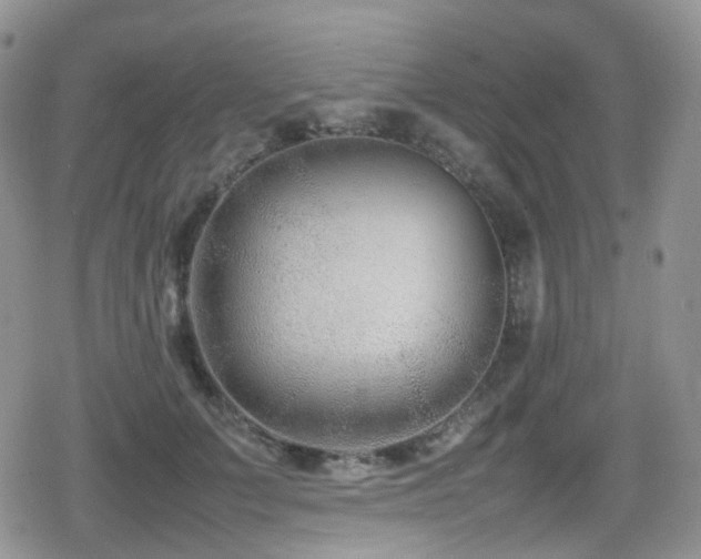 X0000080750703200612151315