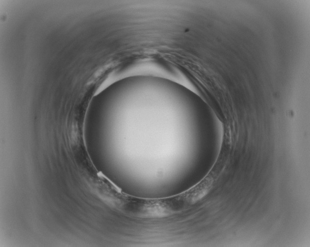 X0000080750704200612151315
