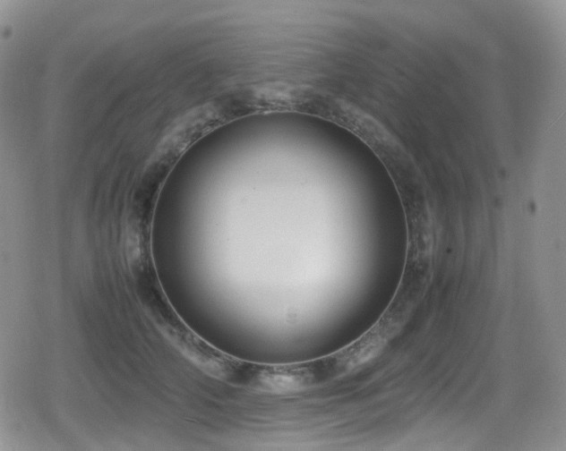 X0000080750706200612151315