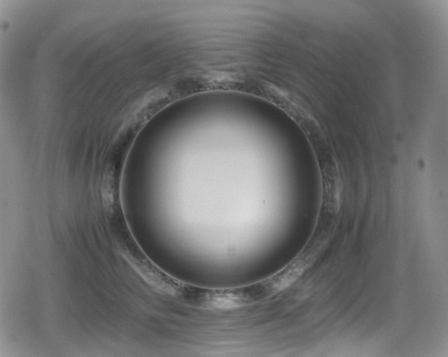 X0000080750710200612151314