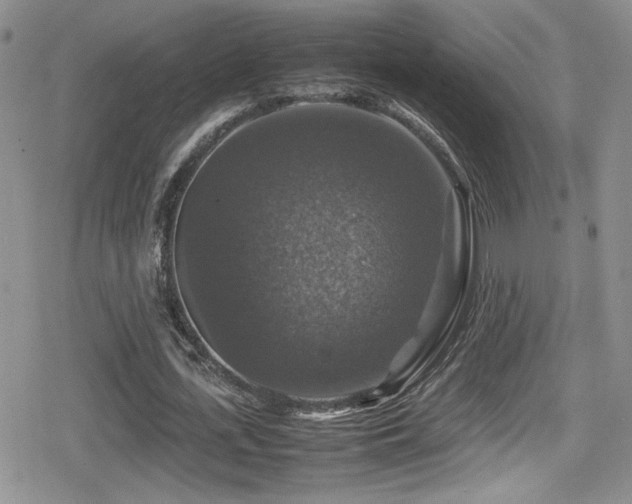 X0000080750723200612151314