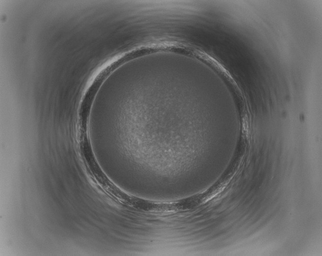 X0000080750724200612151314