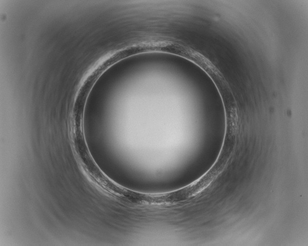 X0000080750726200612151314