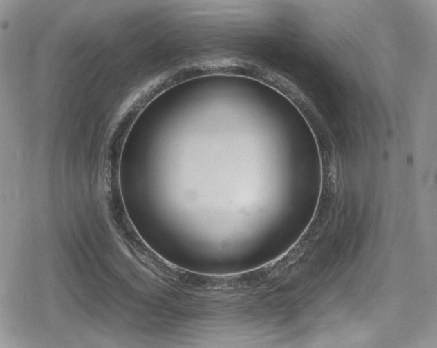 X0000080750732200612151314