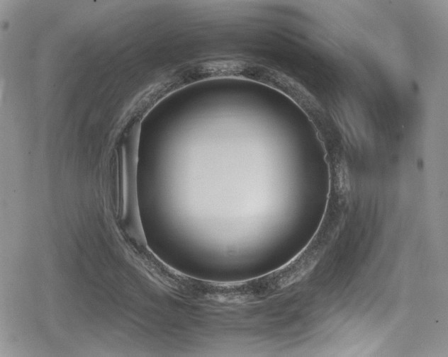 X0000080750733200612151314