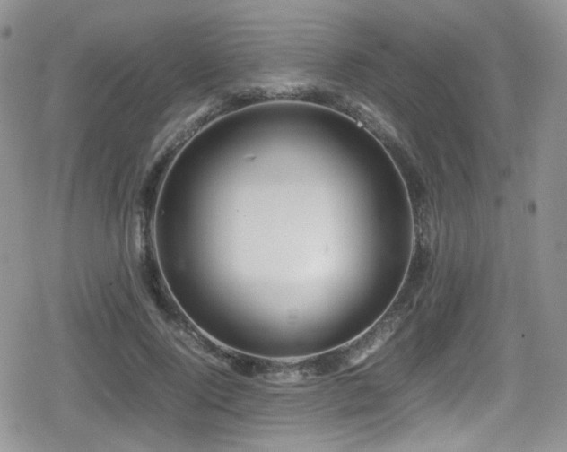 X0000080750740200612151314